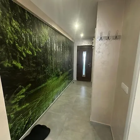 Forest סראייבו